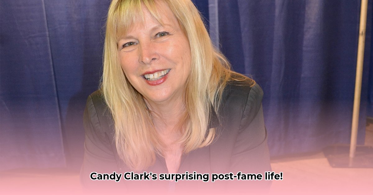 candy-clark-net-worth